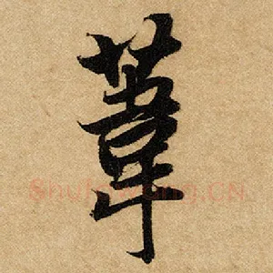 苇
