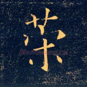 策