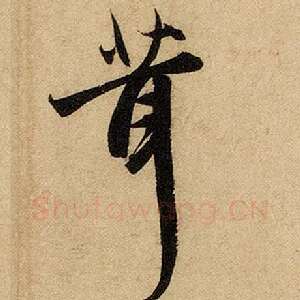 茸
