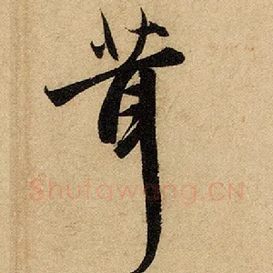 茸