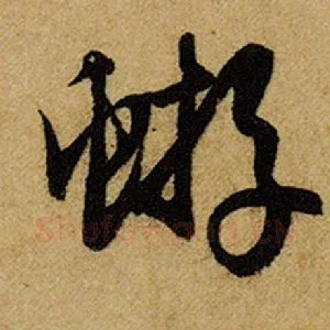 蝣