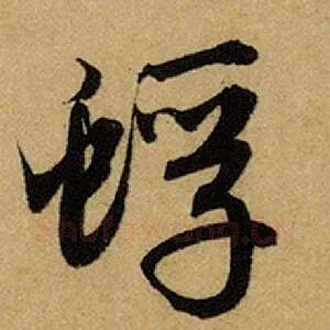 蜉