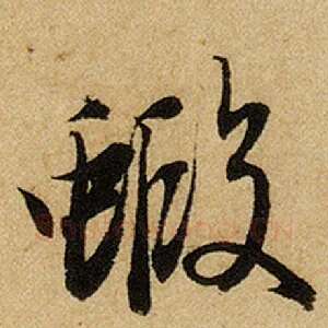 虾