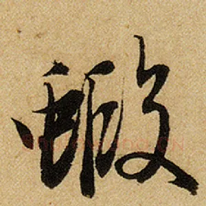 虾