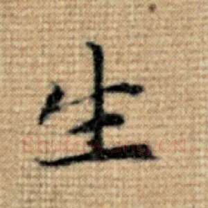 生