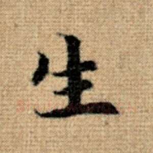 生