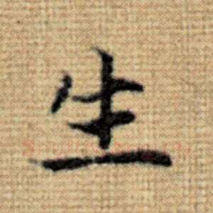 生