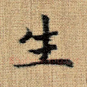 生