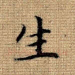 生