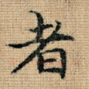 者