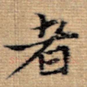 者