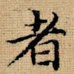 者