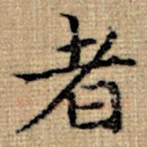 者