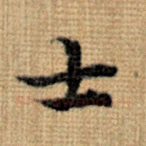 士