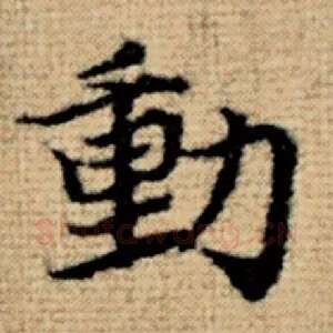 动
