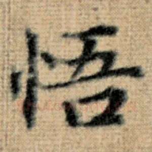 悟