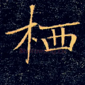 栖