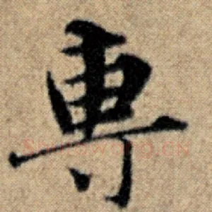 专