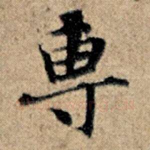 专