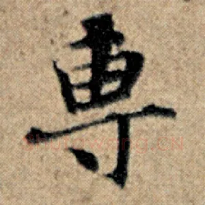 专