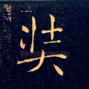 奘