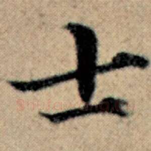 士