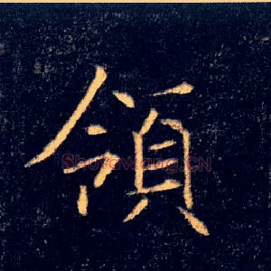 领