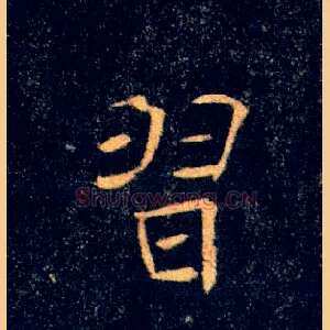 習