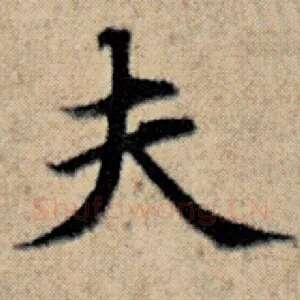 夫