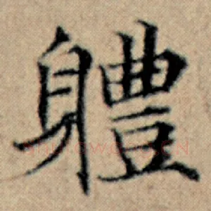 体