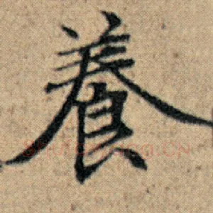 养