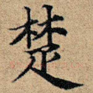 楚