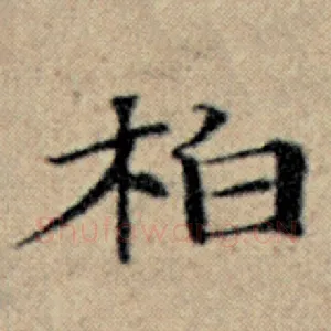 柏