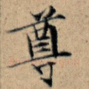 尊