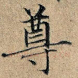 尊