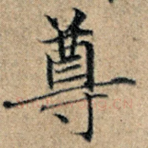 尊