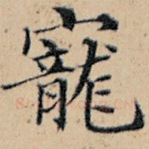 宠