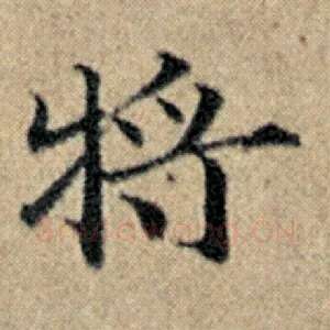 将