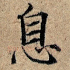 息