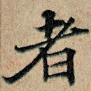 者