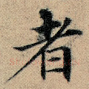 者