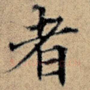 者