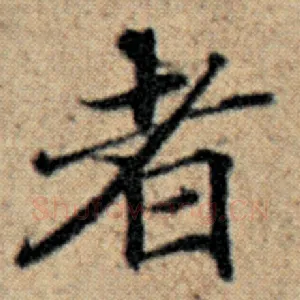 者