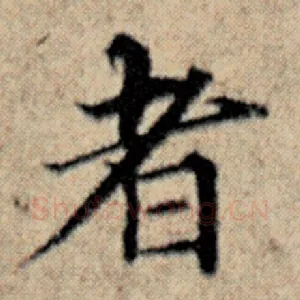 者