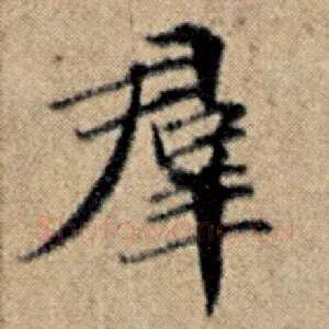 群