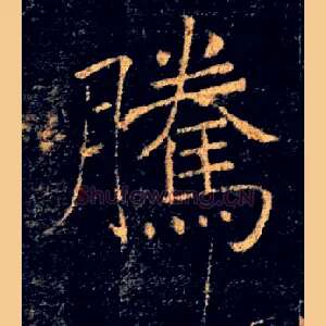 騰