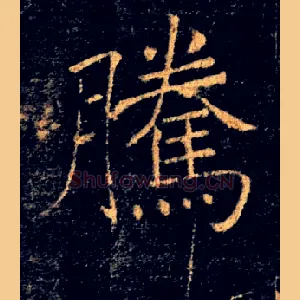 騰