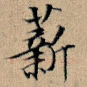 薪