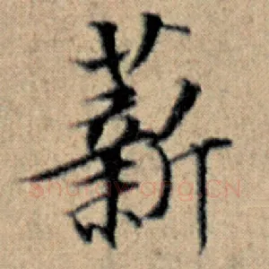 薪