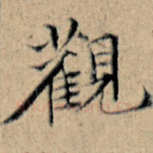 观